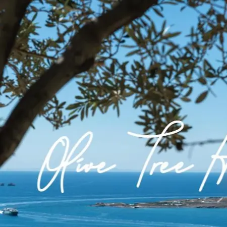 Luxury In Athens Parikia (Paros)